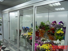 Холодильная камера для хранения цветов